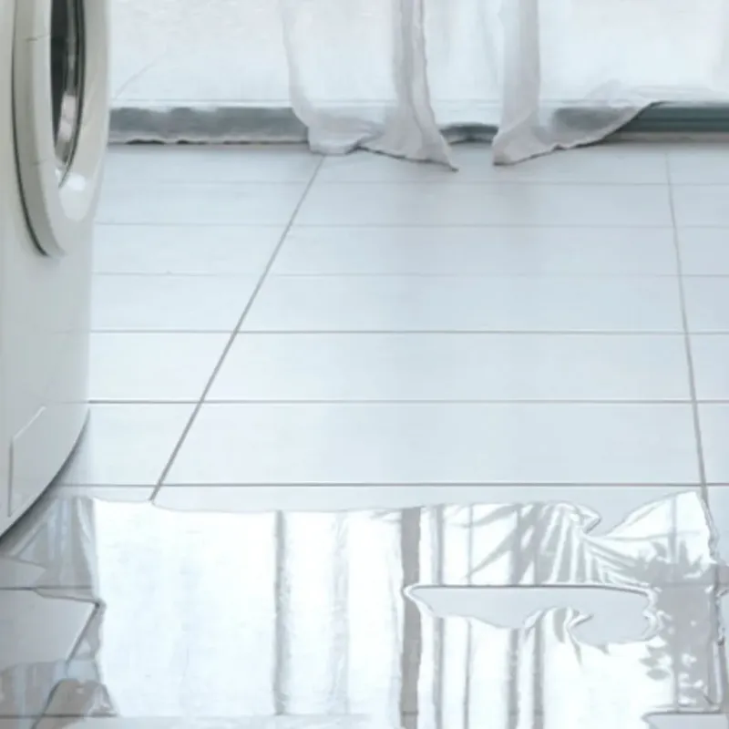 Appliance Leak Cleanup in Alma, MI
