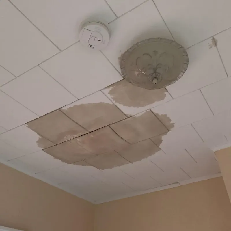 Ceiling Water Damage Repair in Alma, MI