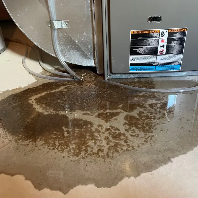 Pipe Burst and Leak Restoration in Alma, MI