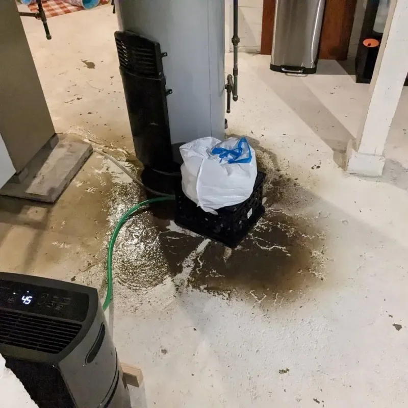 Sewage Backup Cleanup Service in Alma, MI